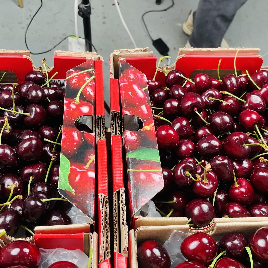 同城水果极速达