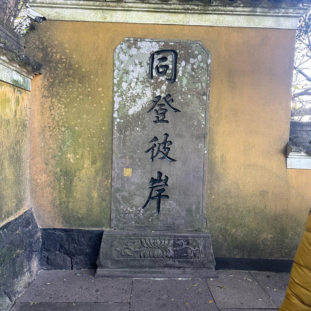 龌醵阖