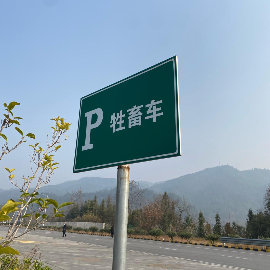花哥       ╲       🪳