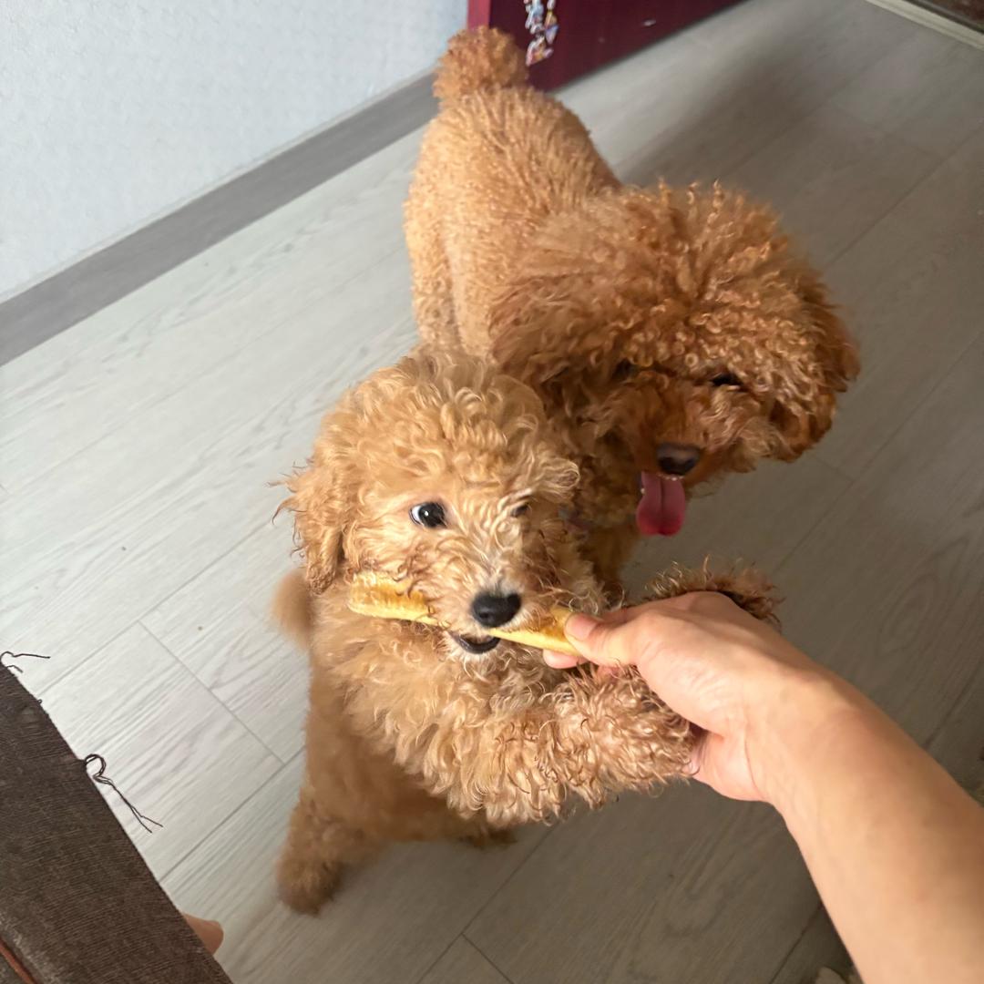 维💕🌸