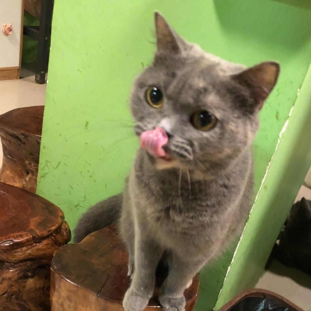 o_o11