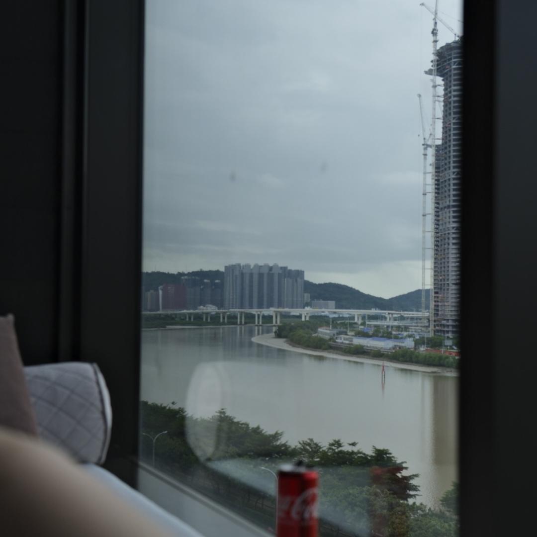喵喵短橘