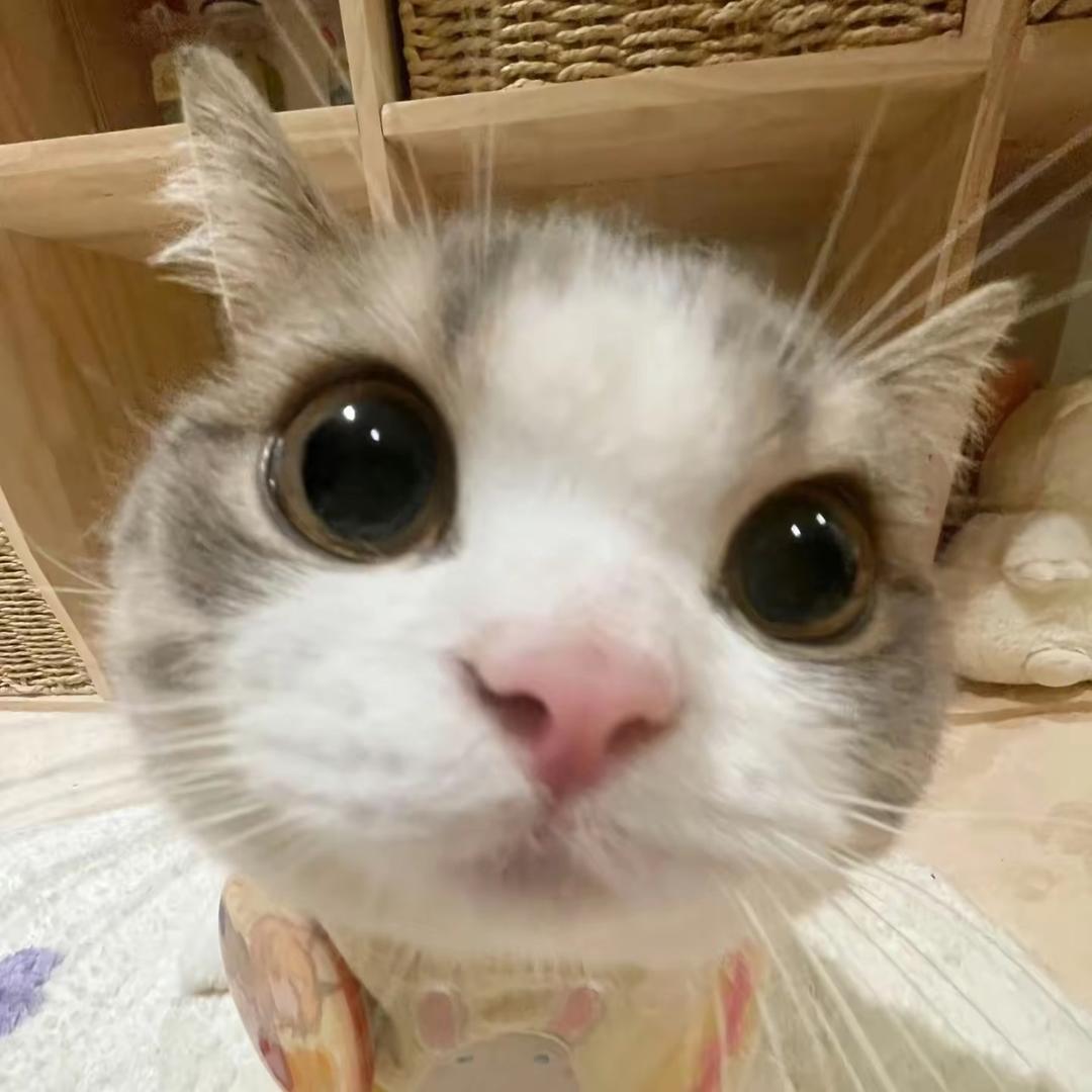 我就笑笑不说话