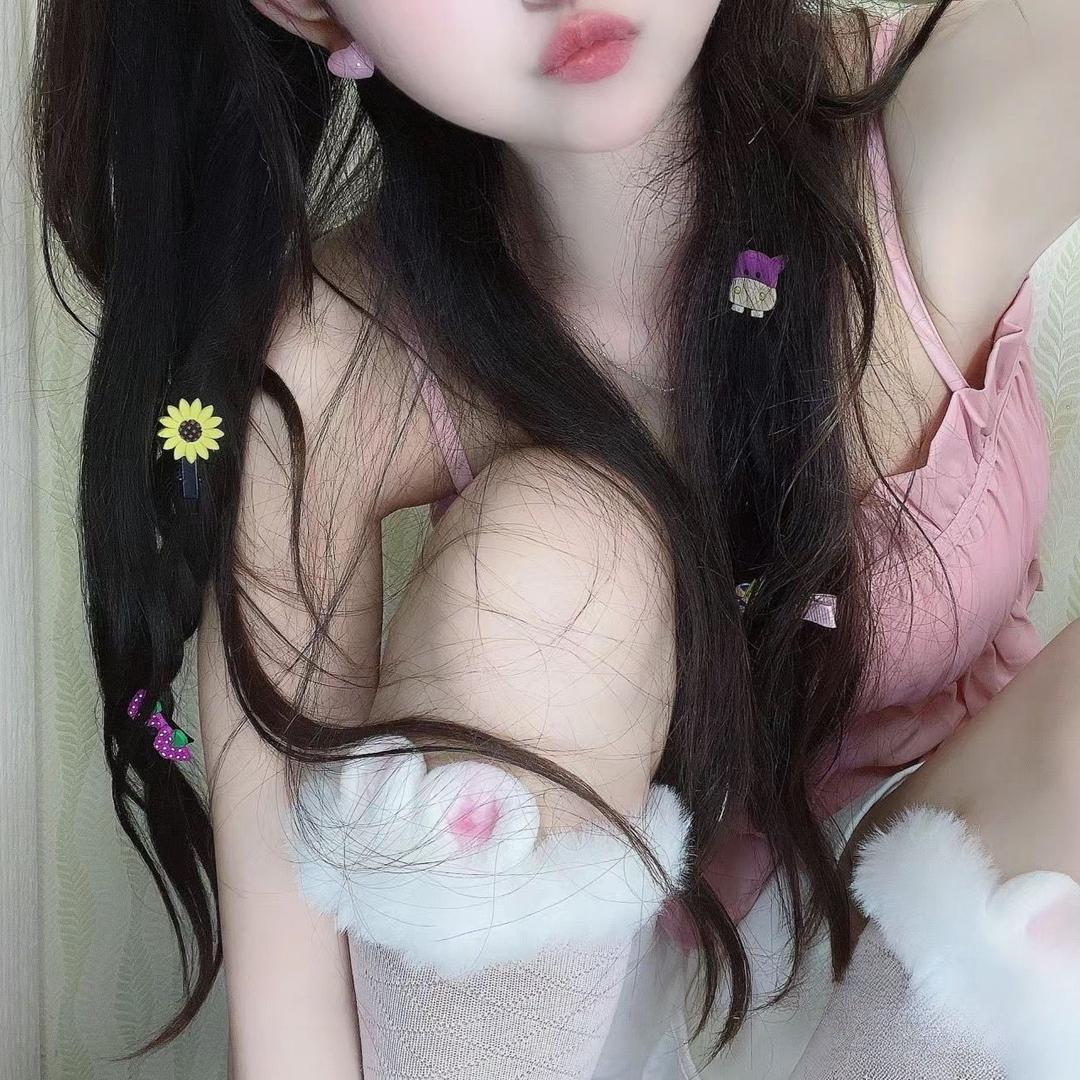 茶茶酱