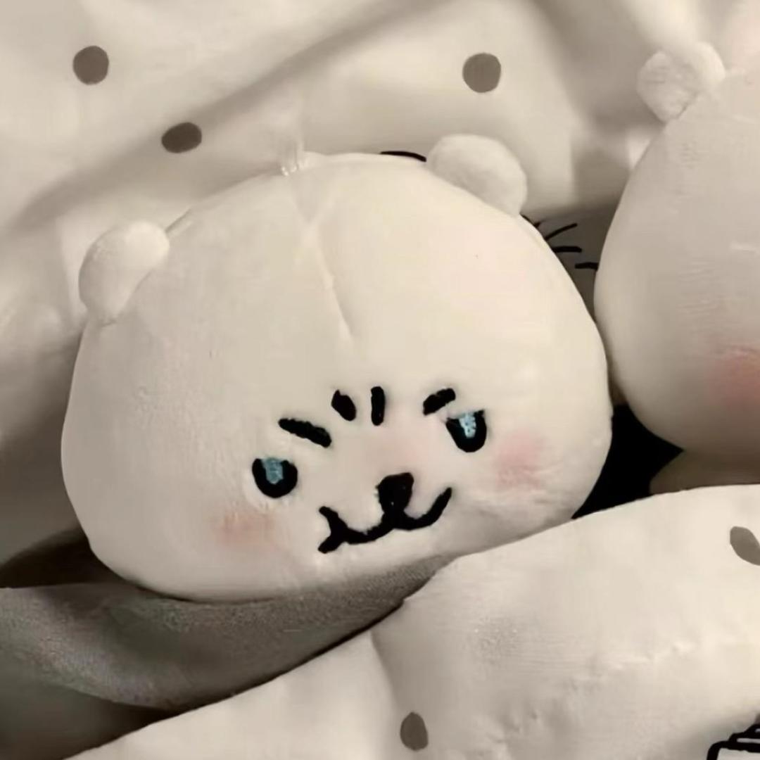 zzzz