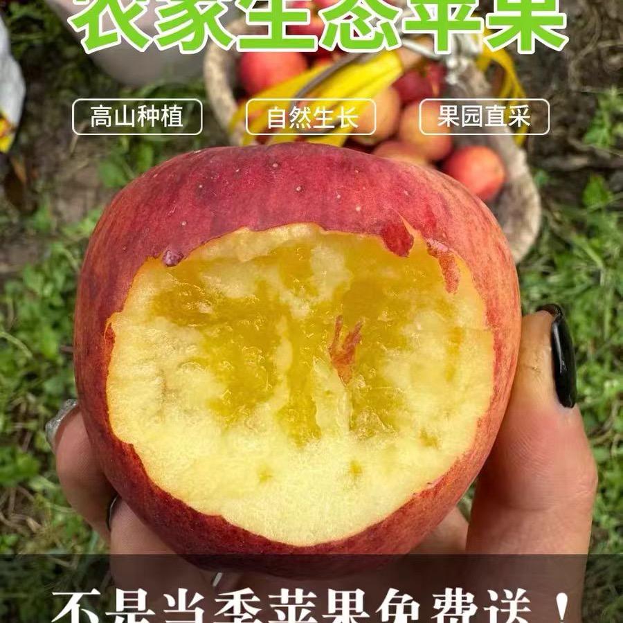 昭通丑苹果