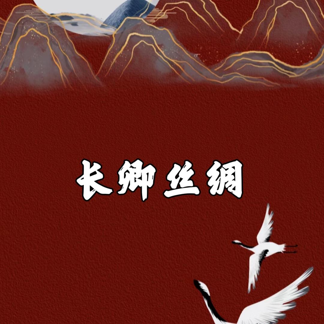 长卿丝绸
