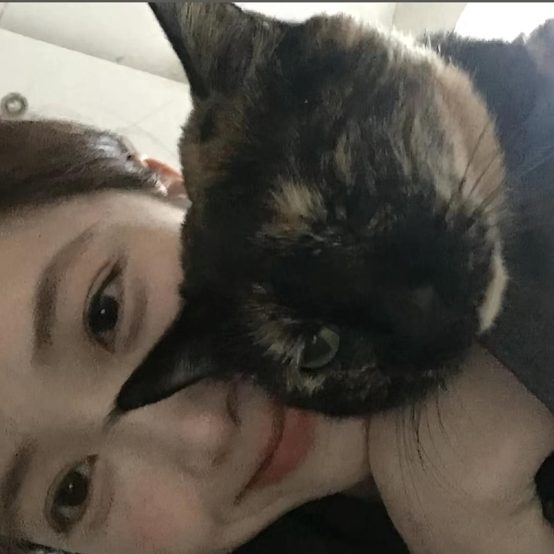 春杪