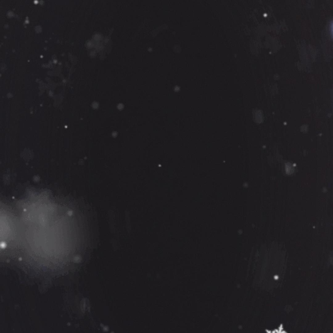 武汉市西小呢（个人独资）