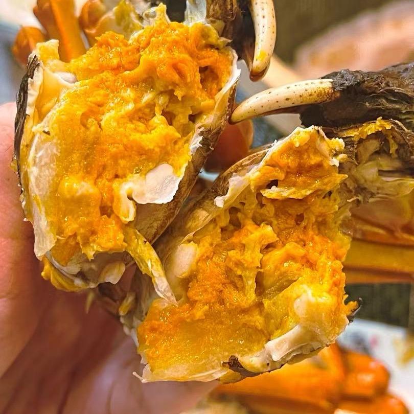 蟹小阜大闸蟹阜南快快