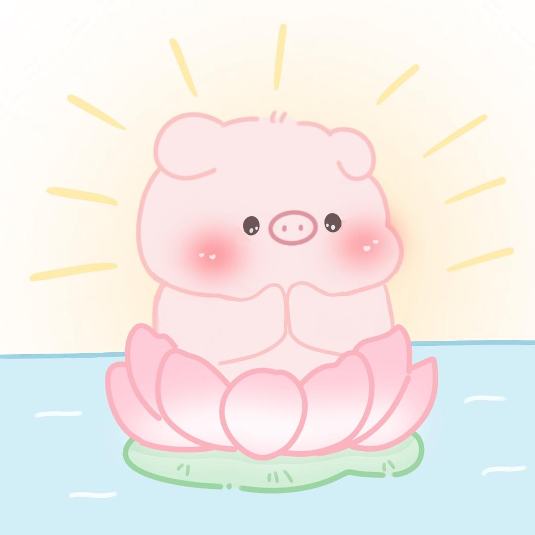 花花呀🌸