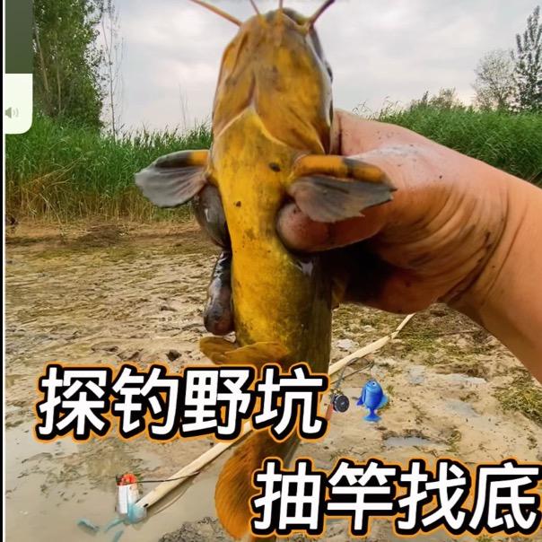 🎣强哥野钓