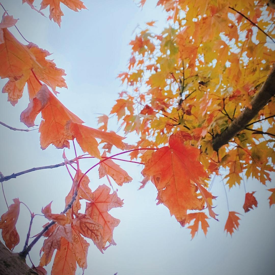 【嘿！劉下来 】