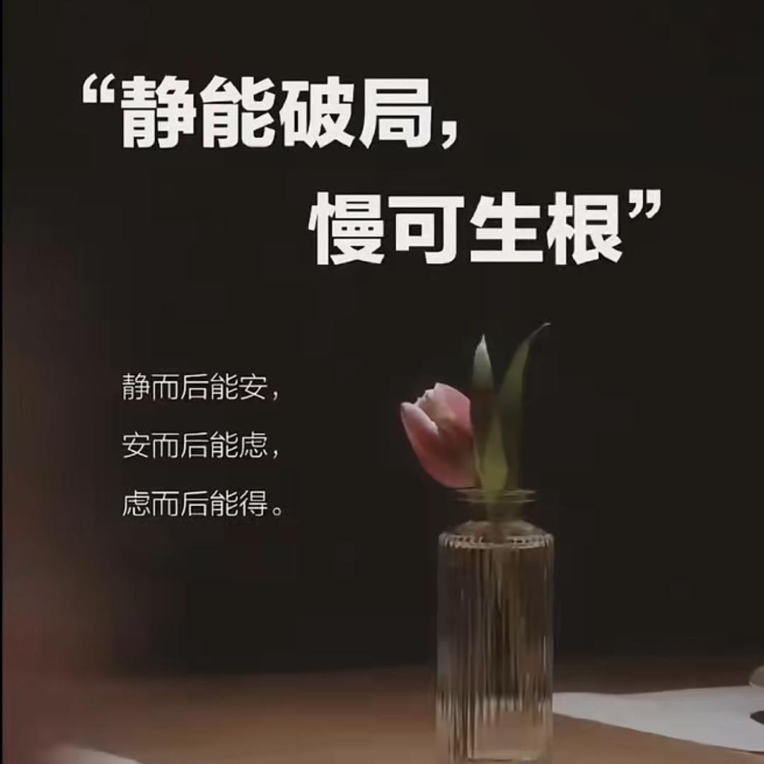 小蝶