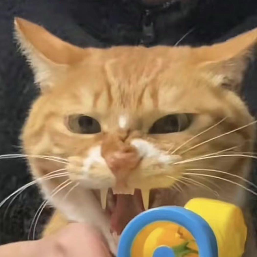 啦啦啦
