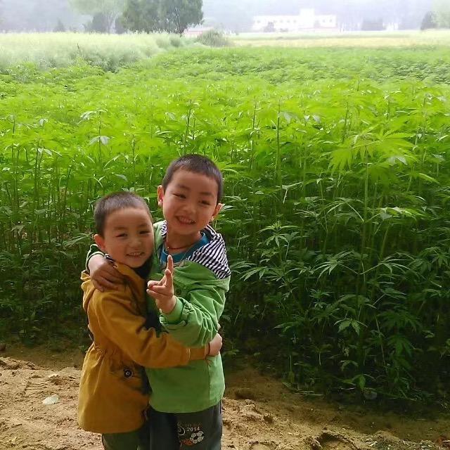 小英你的好朋友