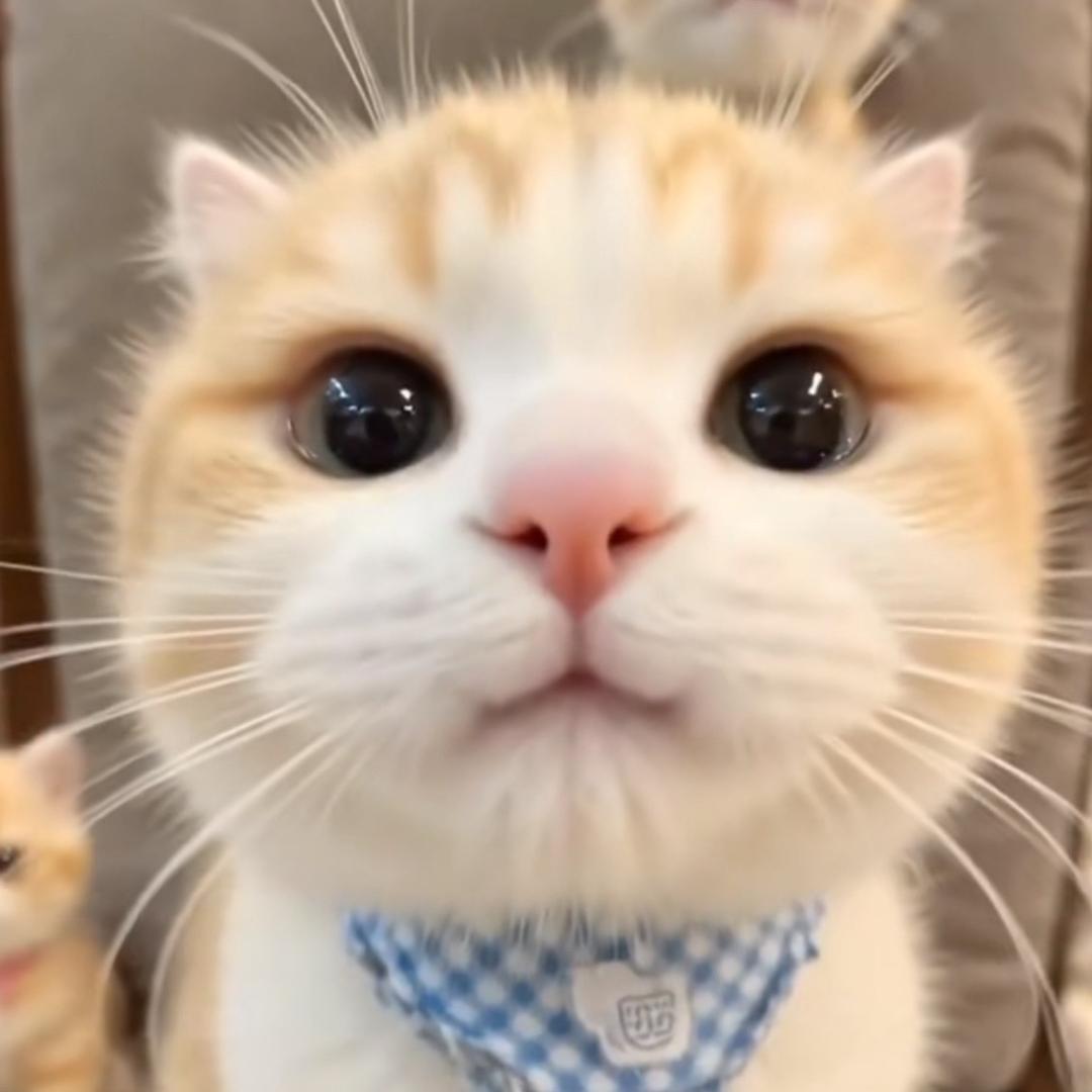 穿花内裤的美伢