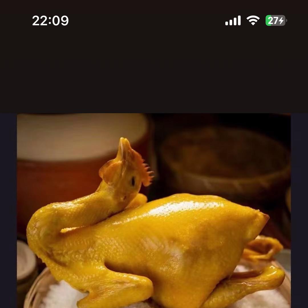 广西飞天生态禽业