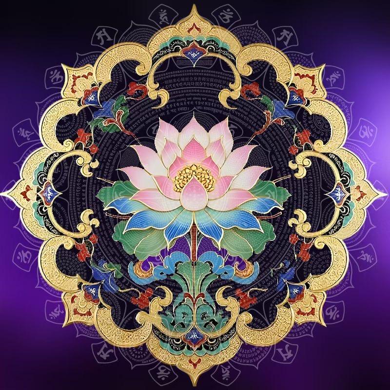 度护扎