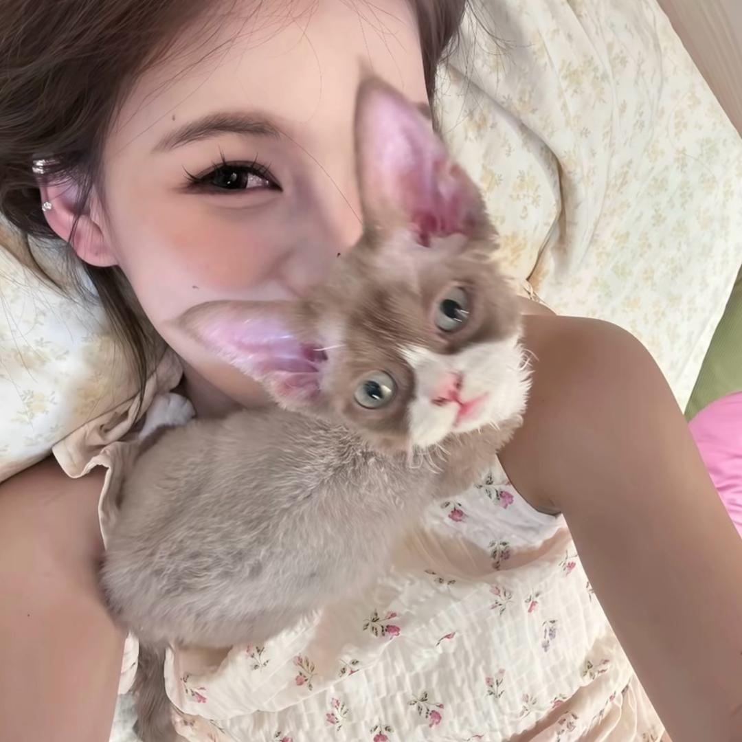 松子鱼ovo ˙³˙.