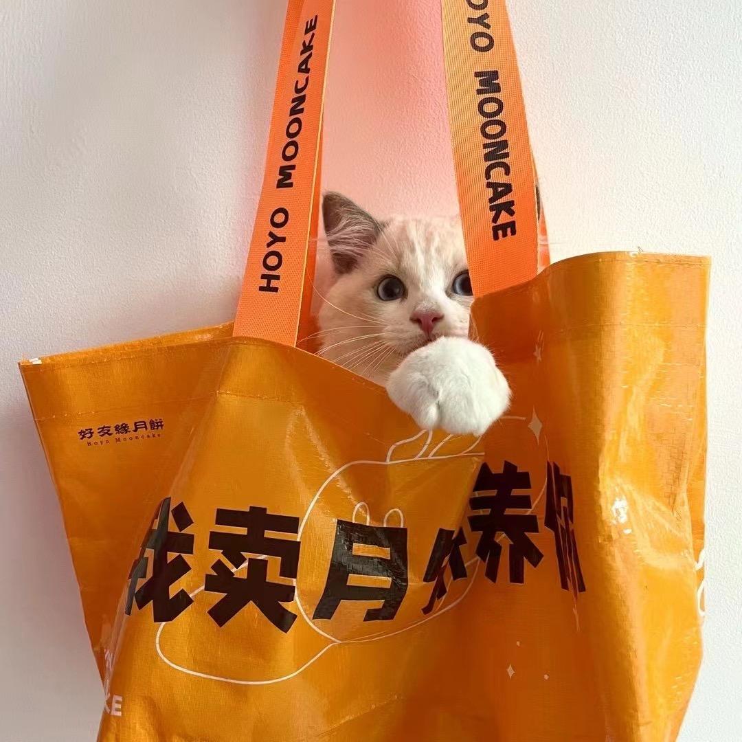 好友缘打工咪（捶捶）