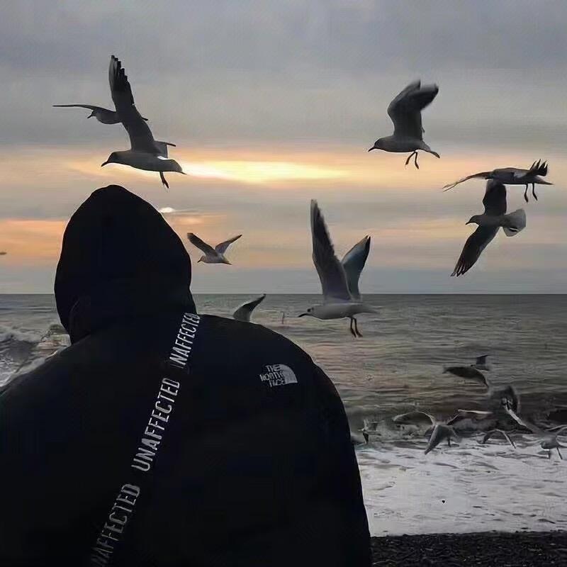 𝕗𝕠𝕣𝕖𝕧𝕖𝕣