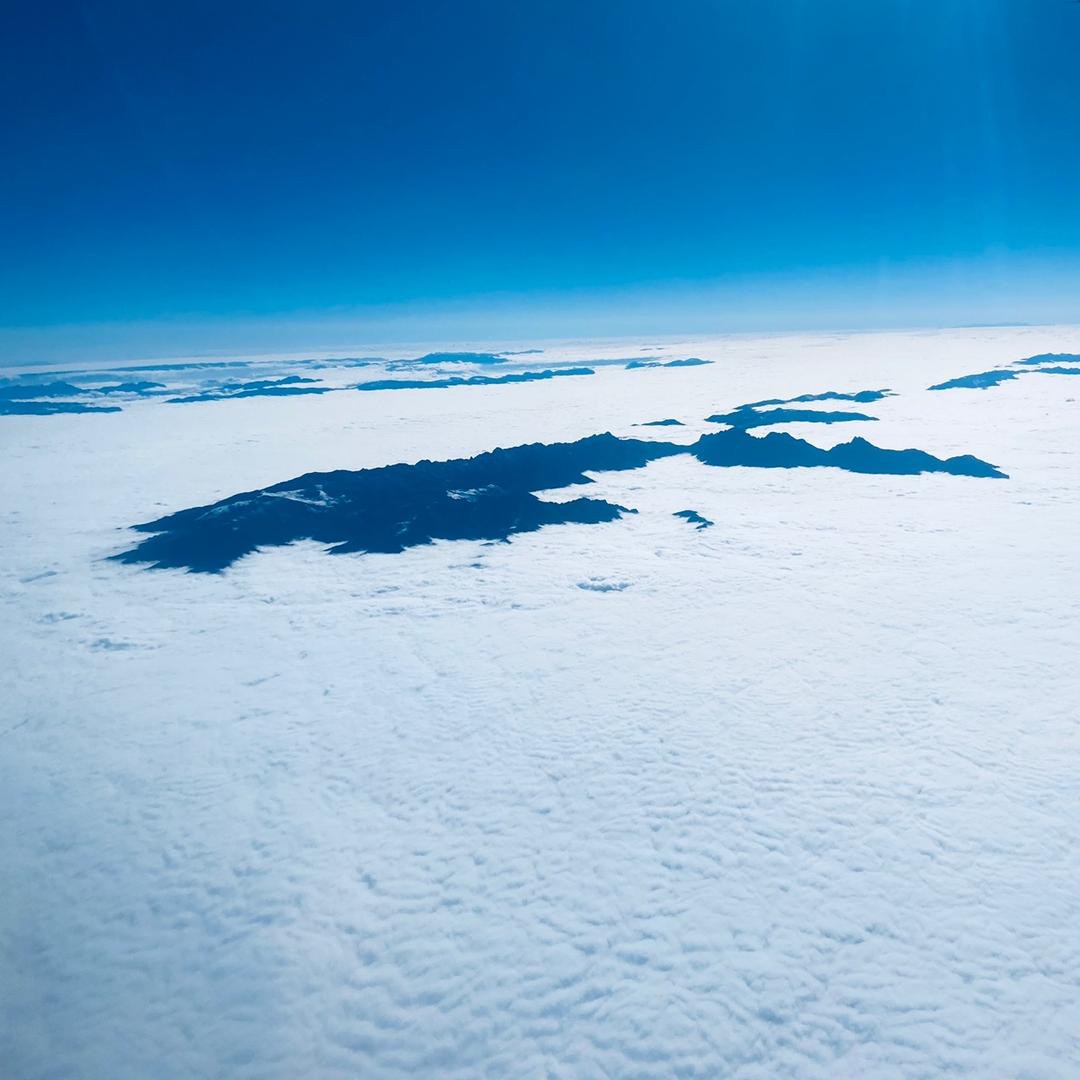 阳澄湖小虾