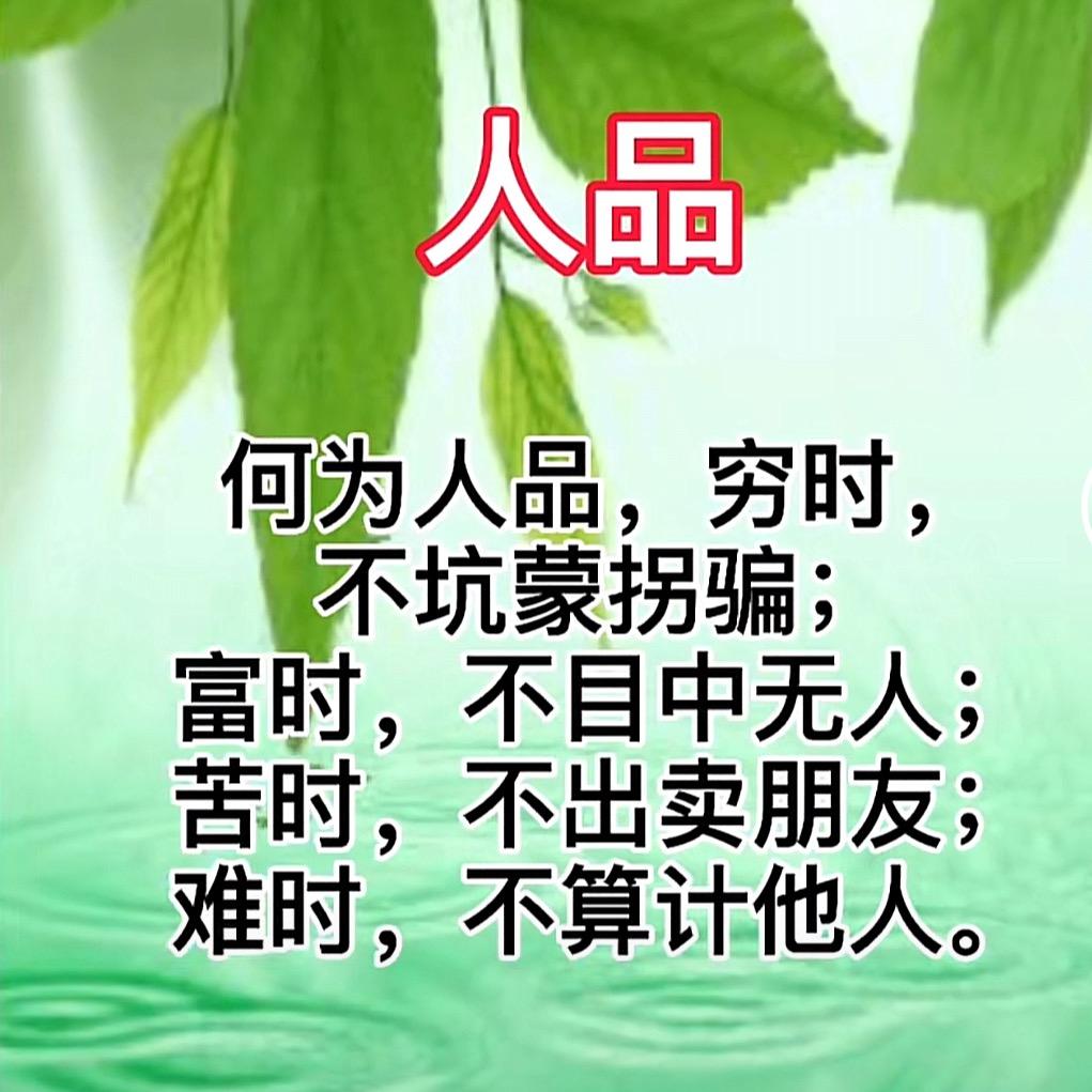 万物皆可收