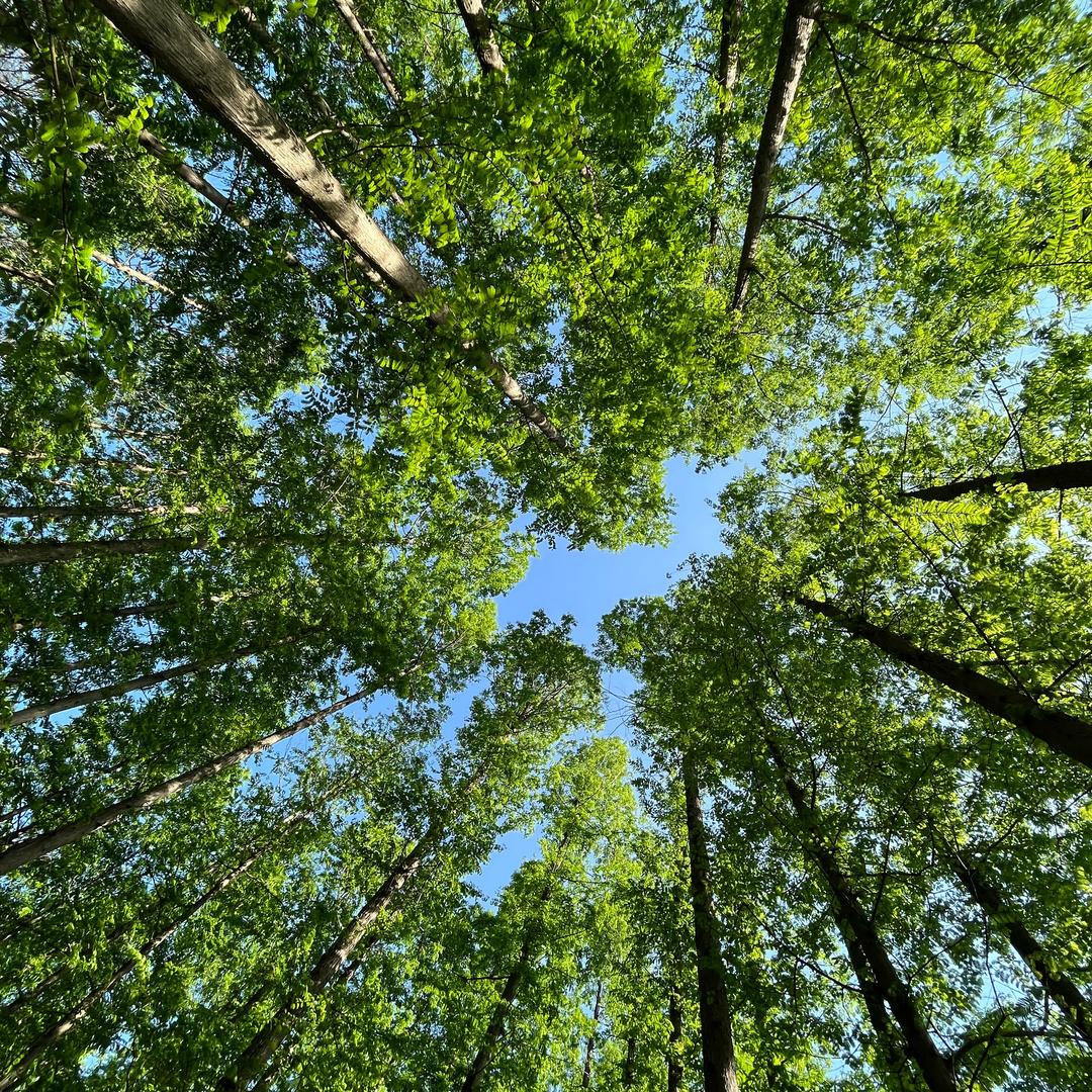 努力向上的俺老孙(不看美女版)