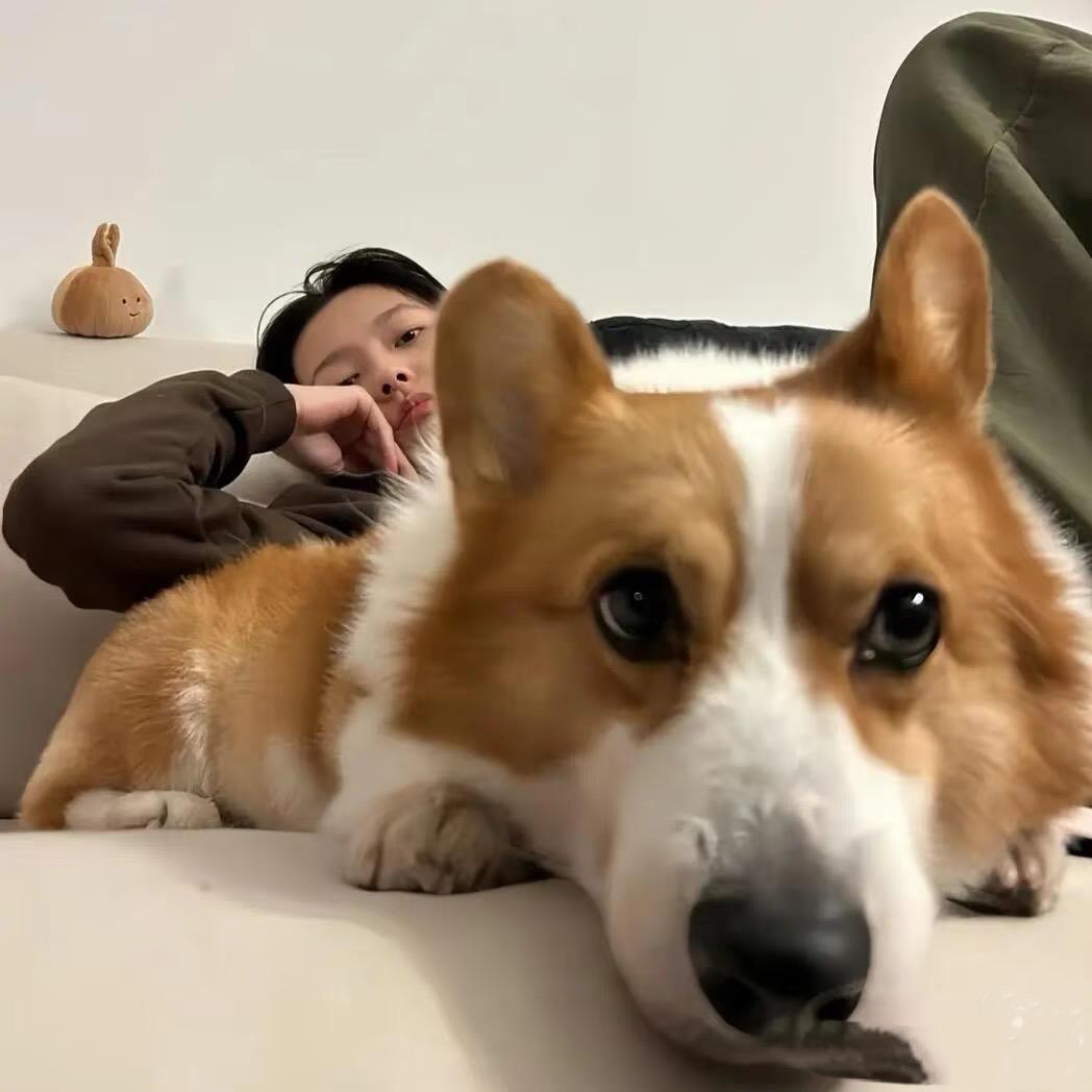 。.！