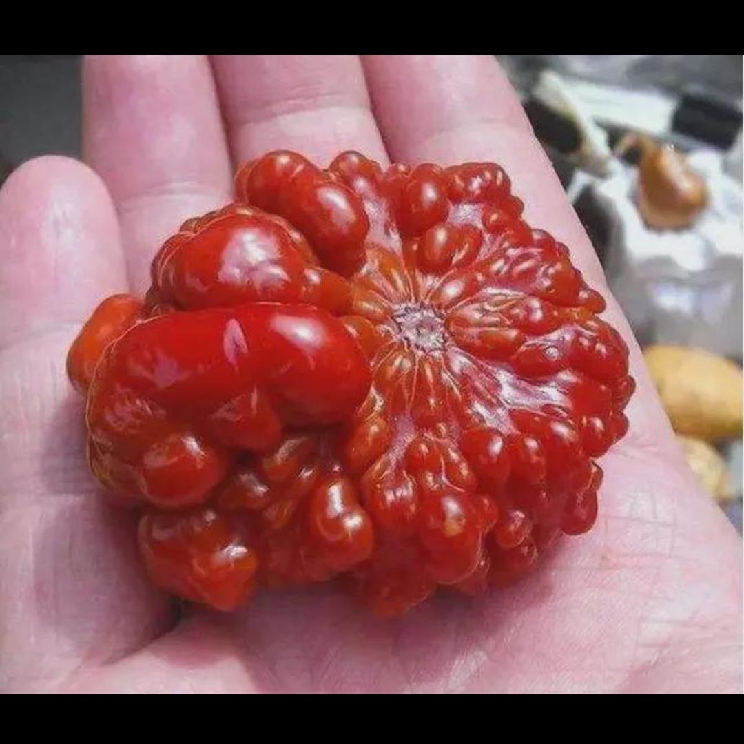 百纳文玩葫芦