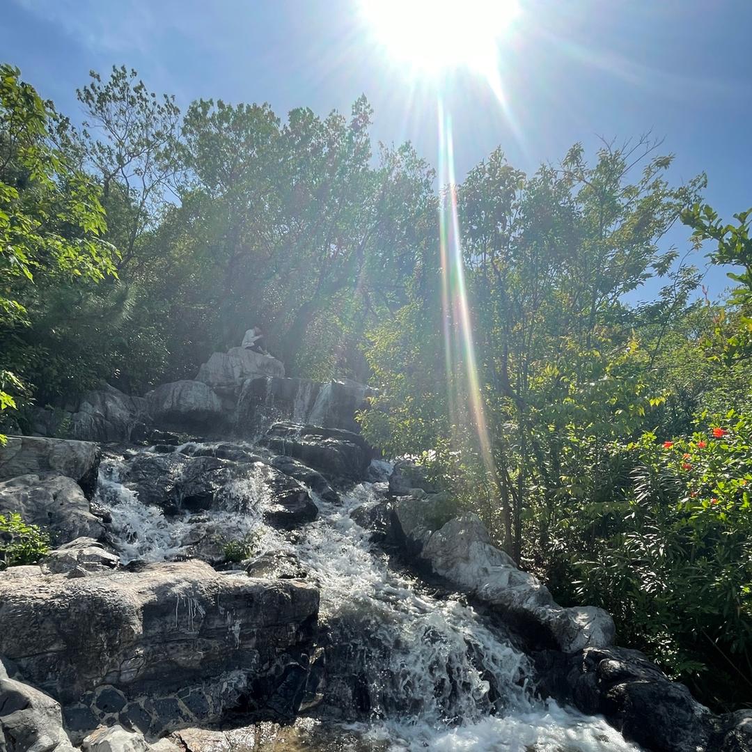 “朱”事皆顺😊