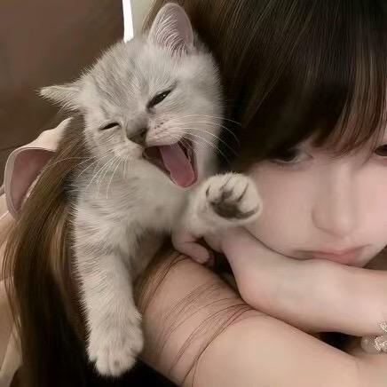 Haoᴗo·ᰔᩚ 豪.