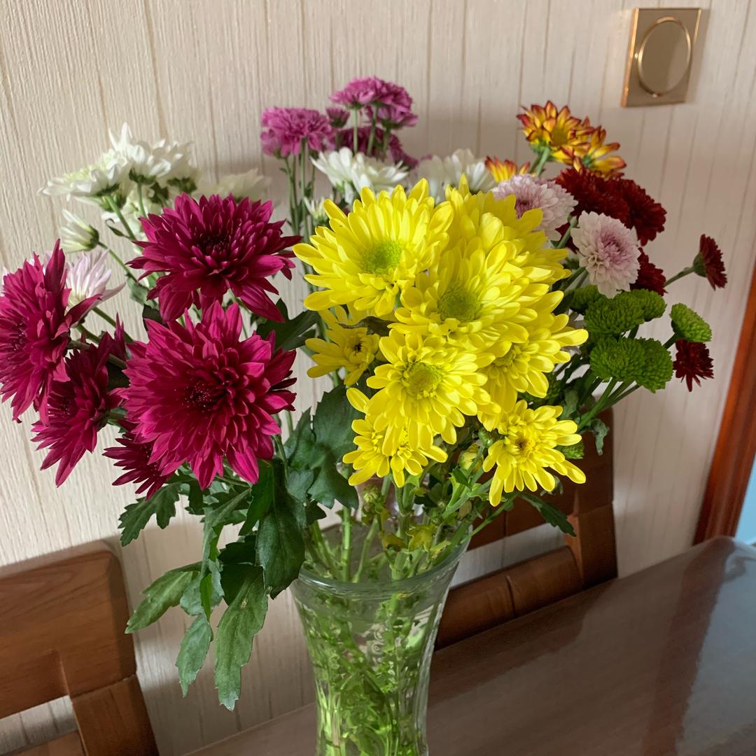 仁爱天使👼——赵护士