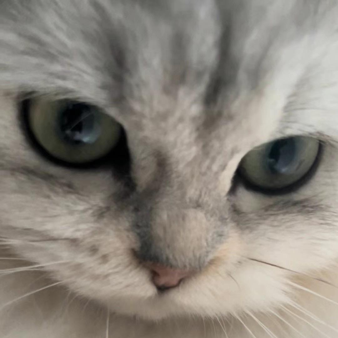 仲秋四阴月