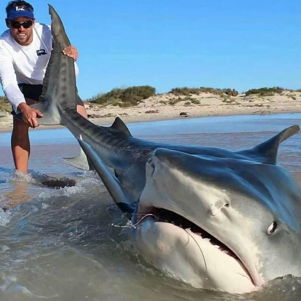 钓江湖🎣