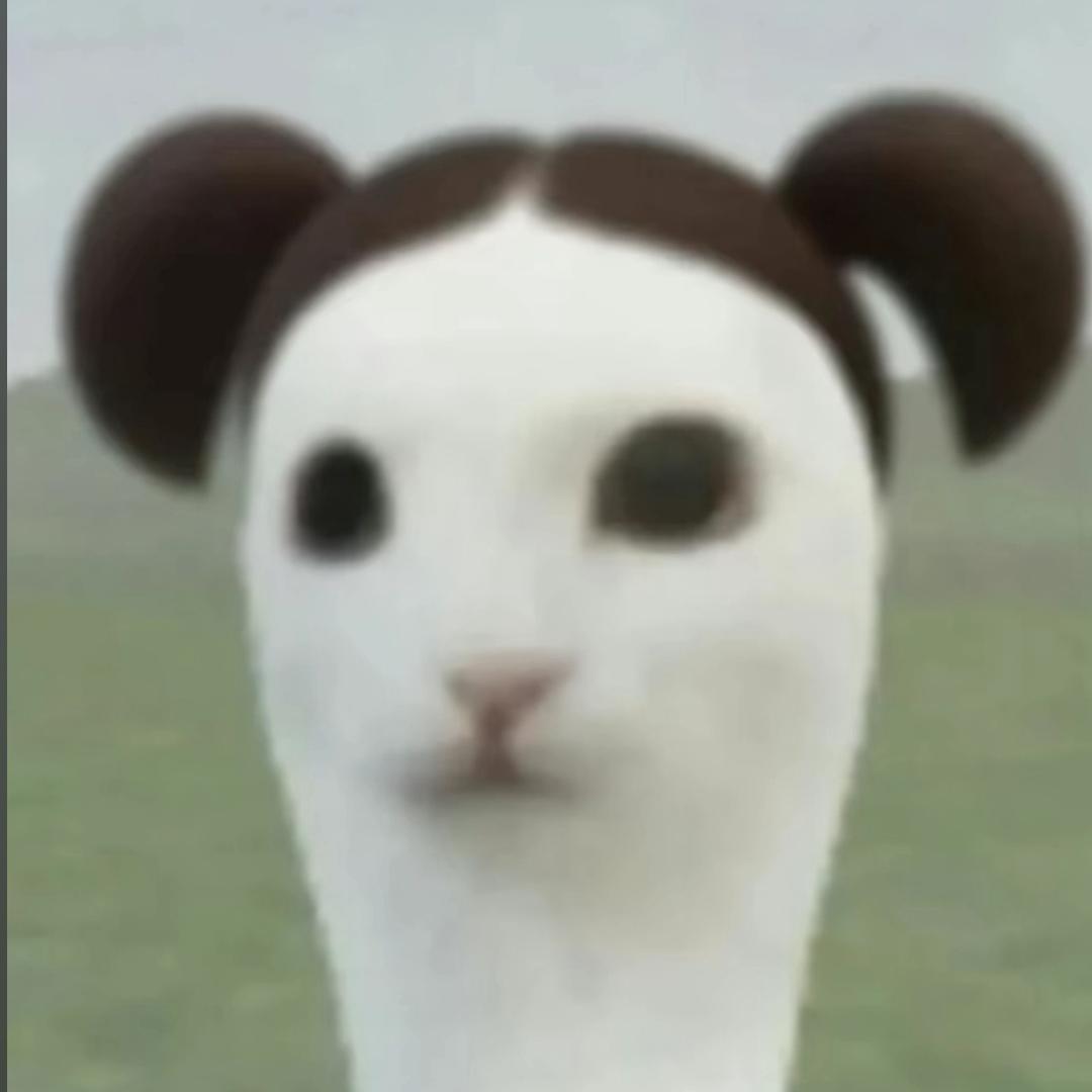 韩依冉