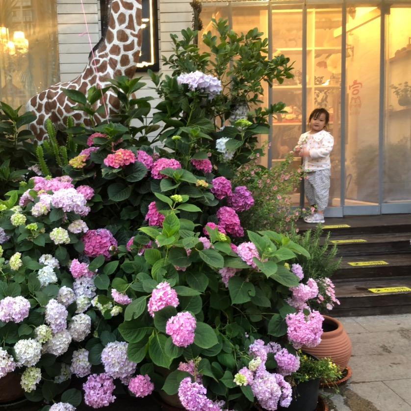 是大可爱和小可爱呀