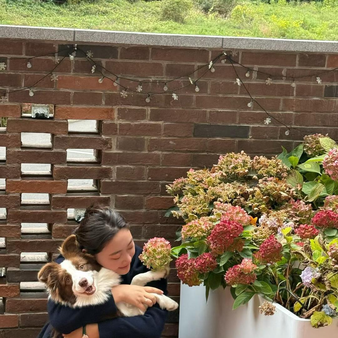 遵化花生好事 秋秋