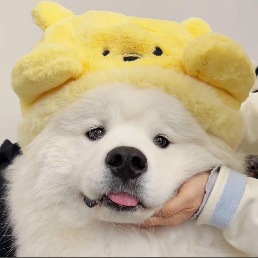 秋风起残叶落🍂