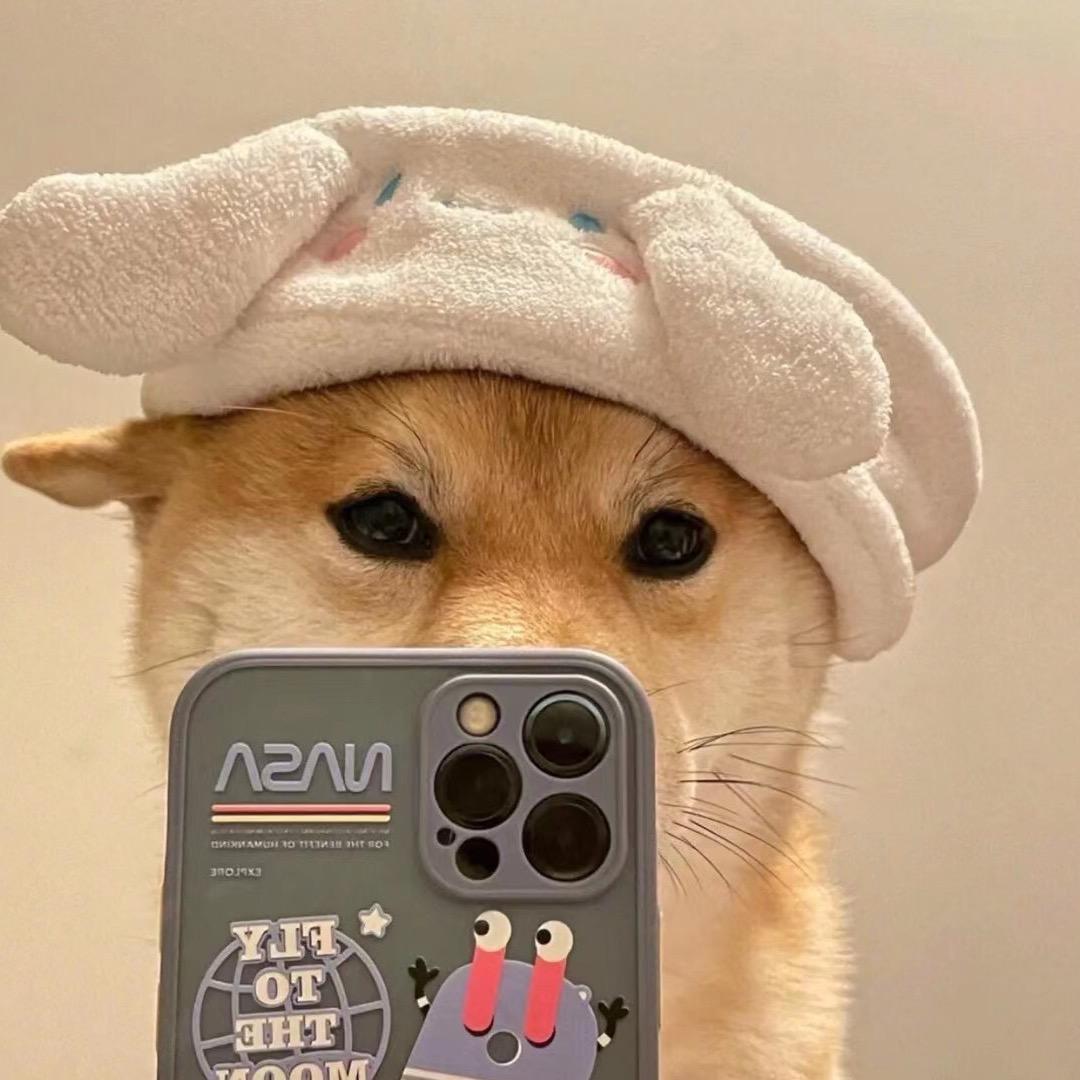 福宝连