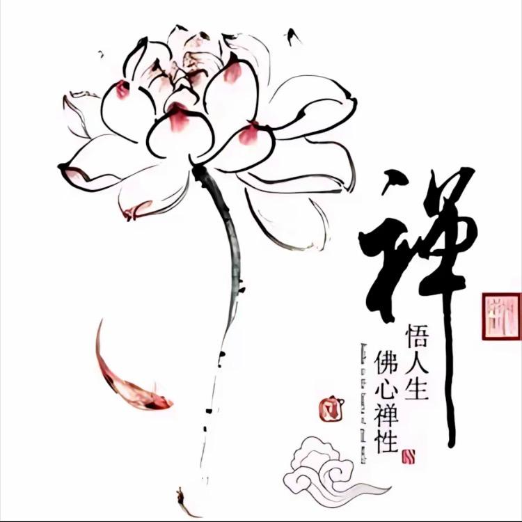 望舒阁