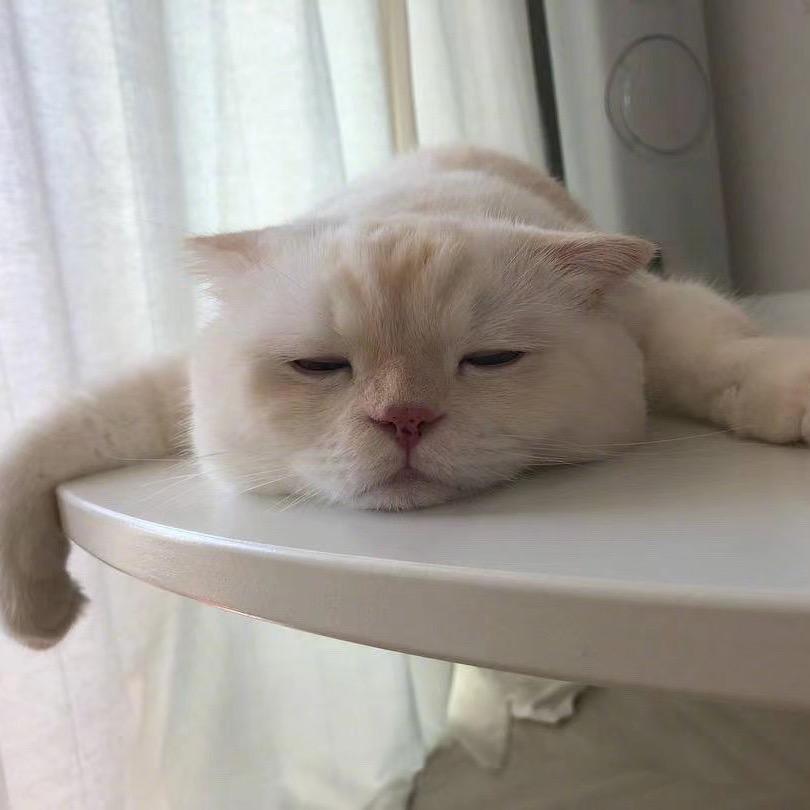 一小前可猛了！(互)