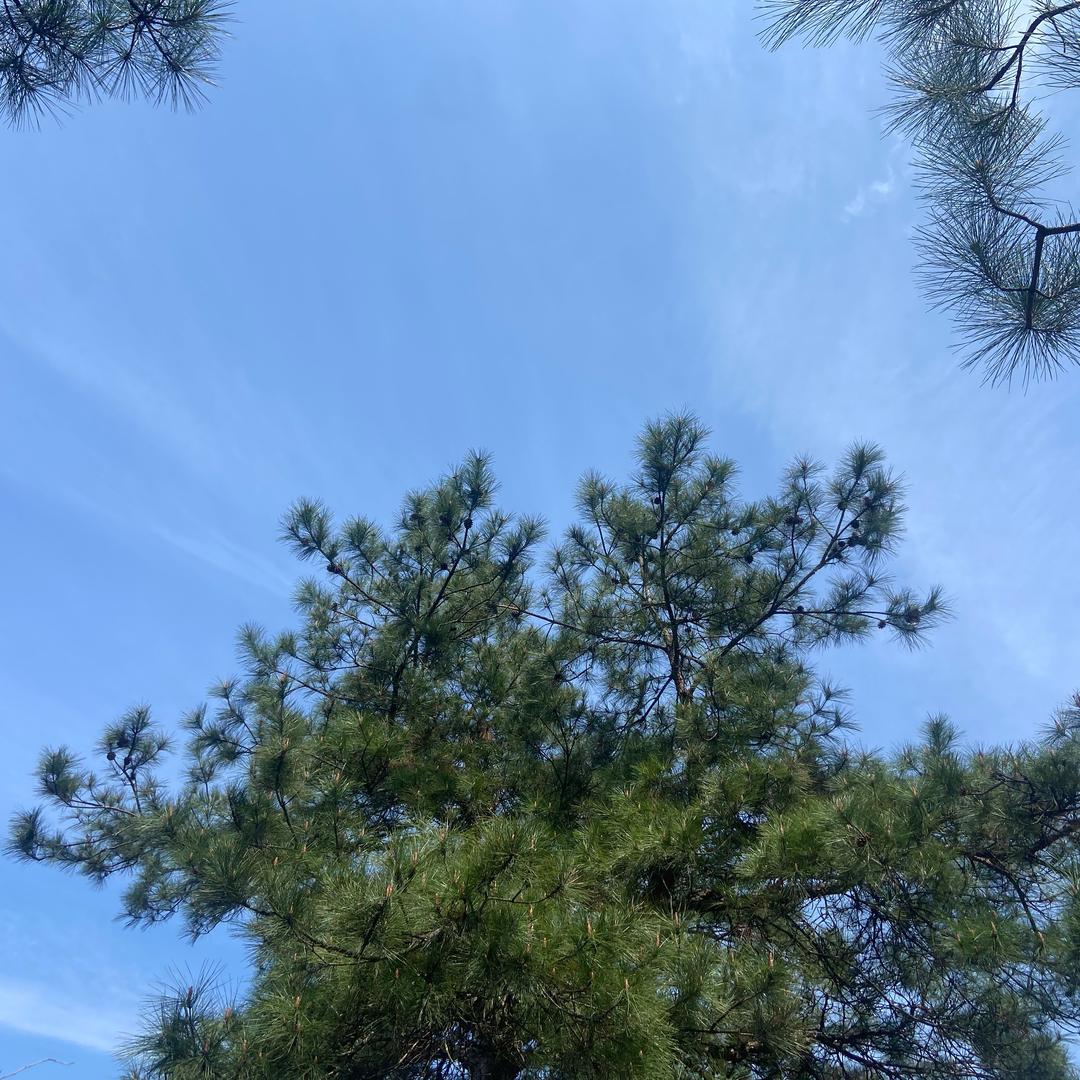 🉑爱🉑爱❤️