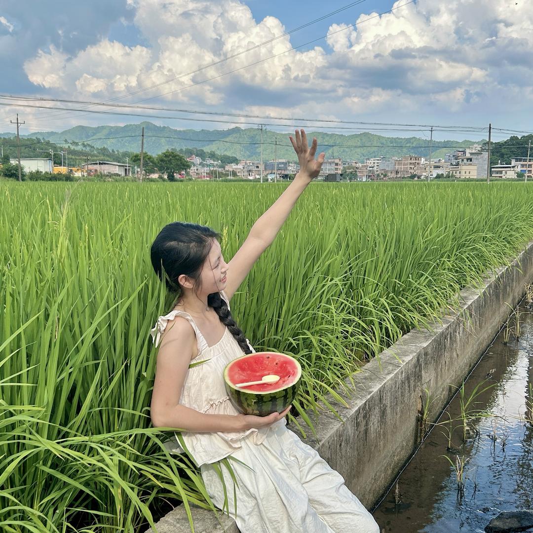 车田妹豆腐土特产