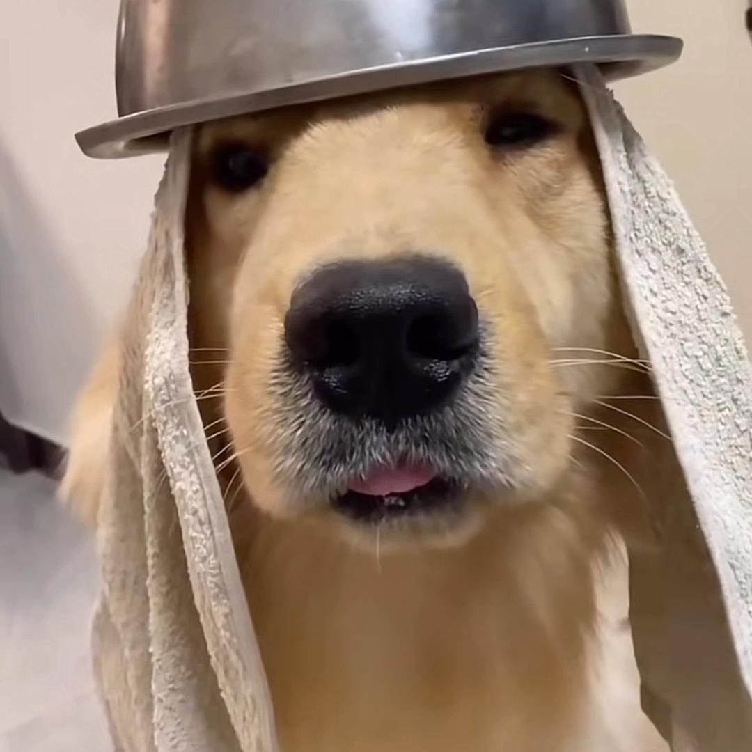 彦祖与于晏