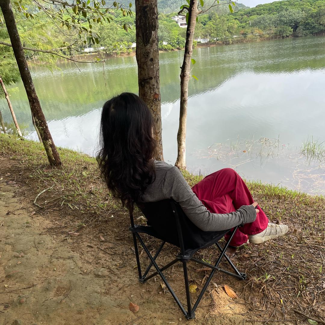 李小姐的一年四季