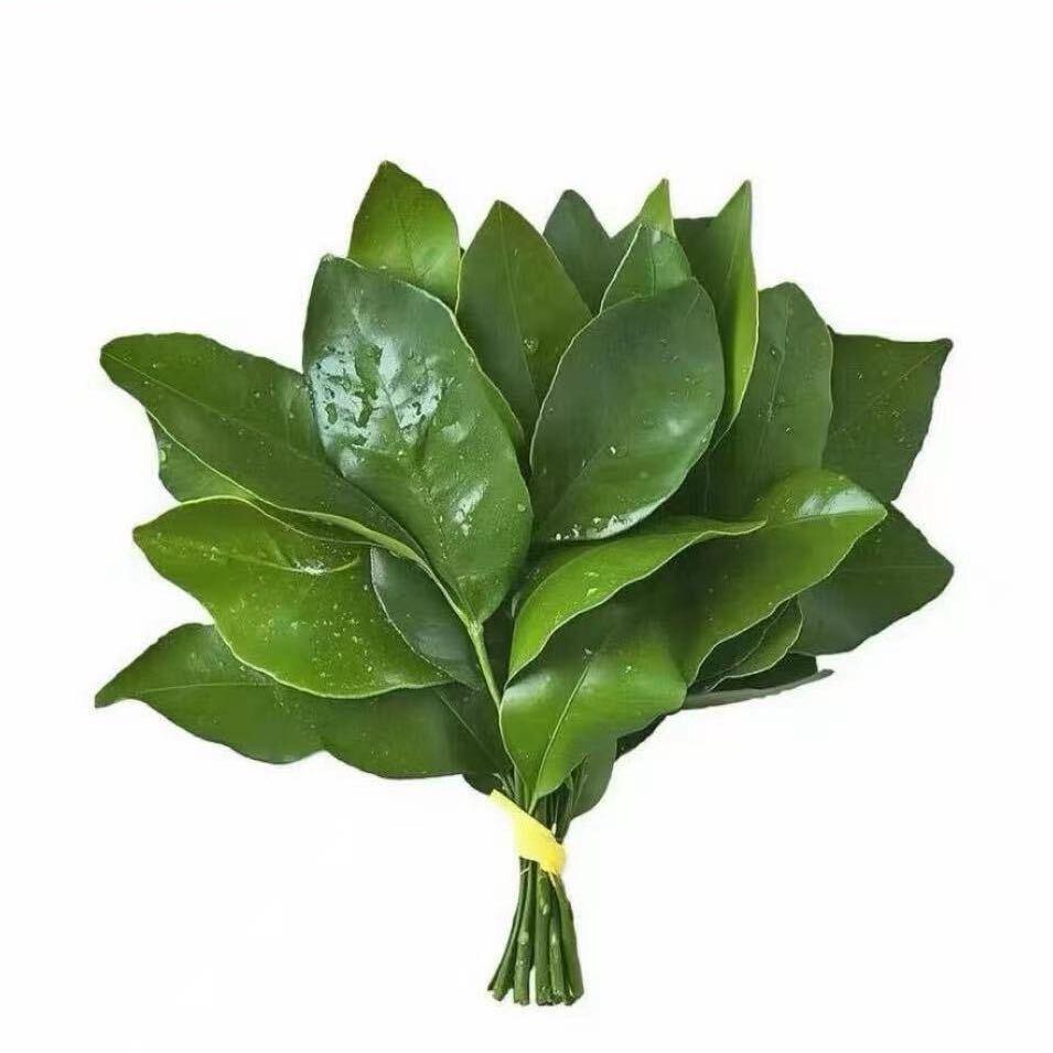 迷茫