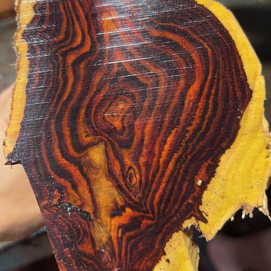 小佑海黄《爱说实话》