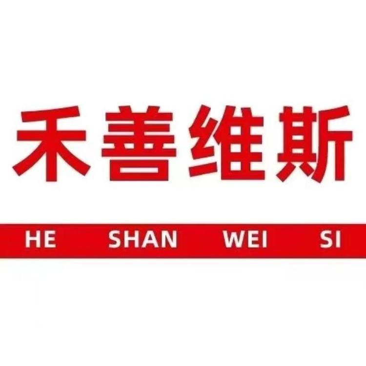 广州禾善维斯